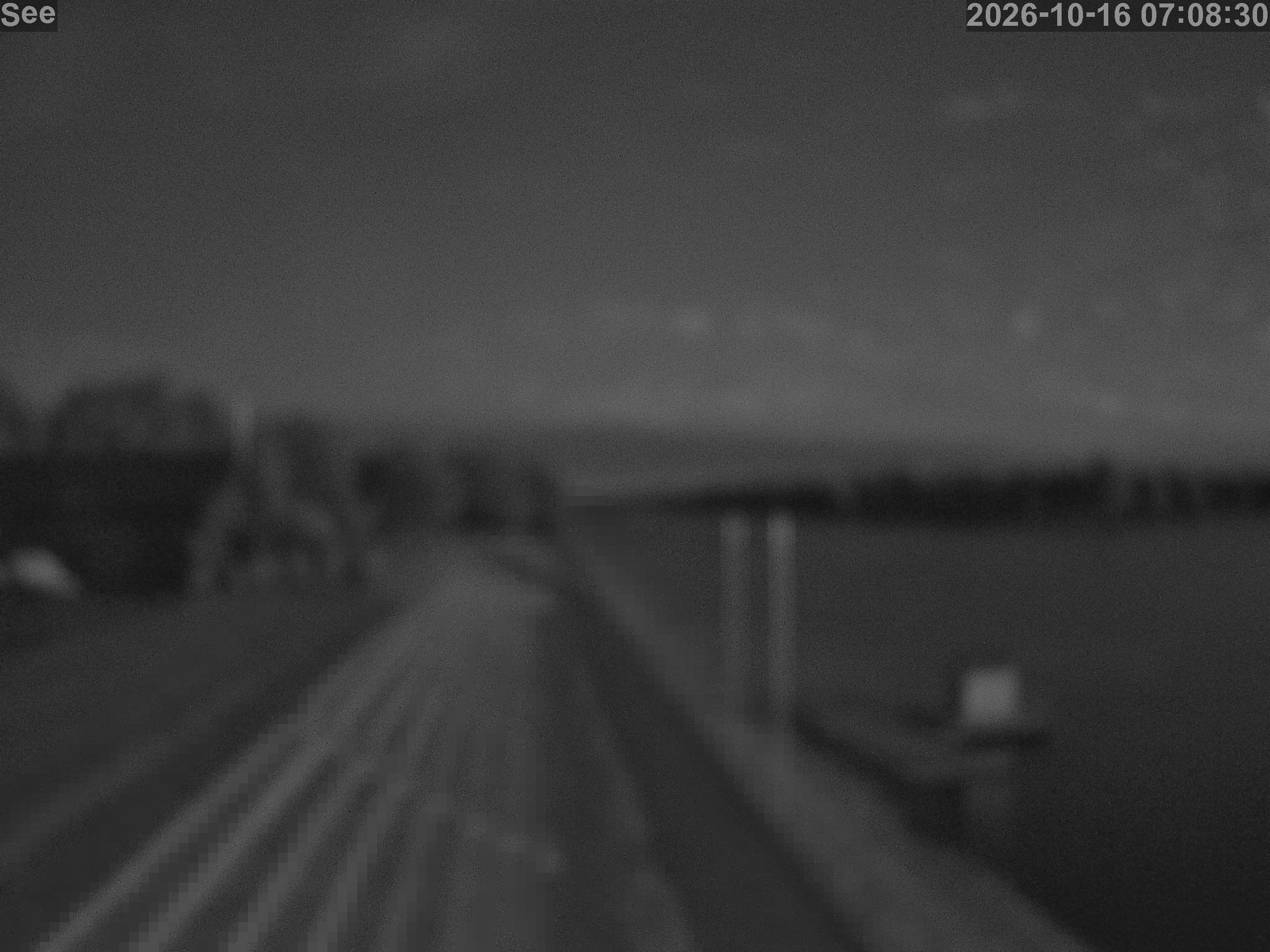 E-See LiveCam