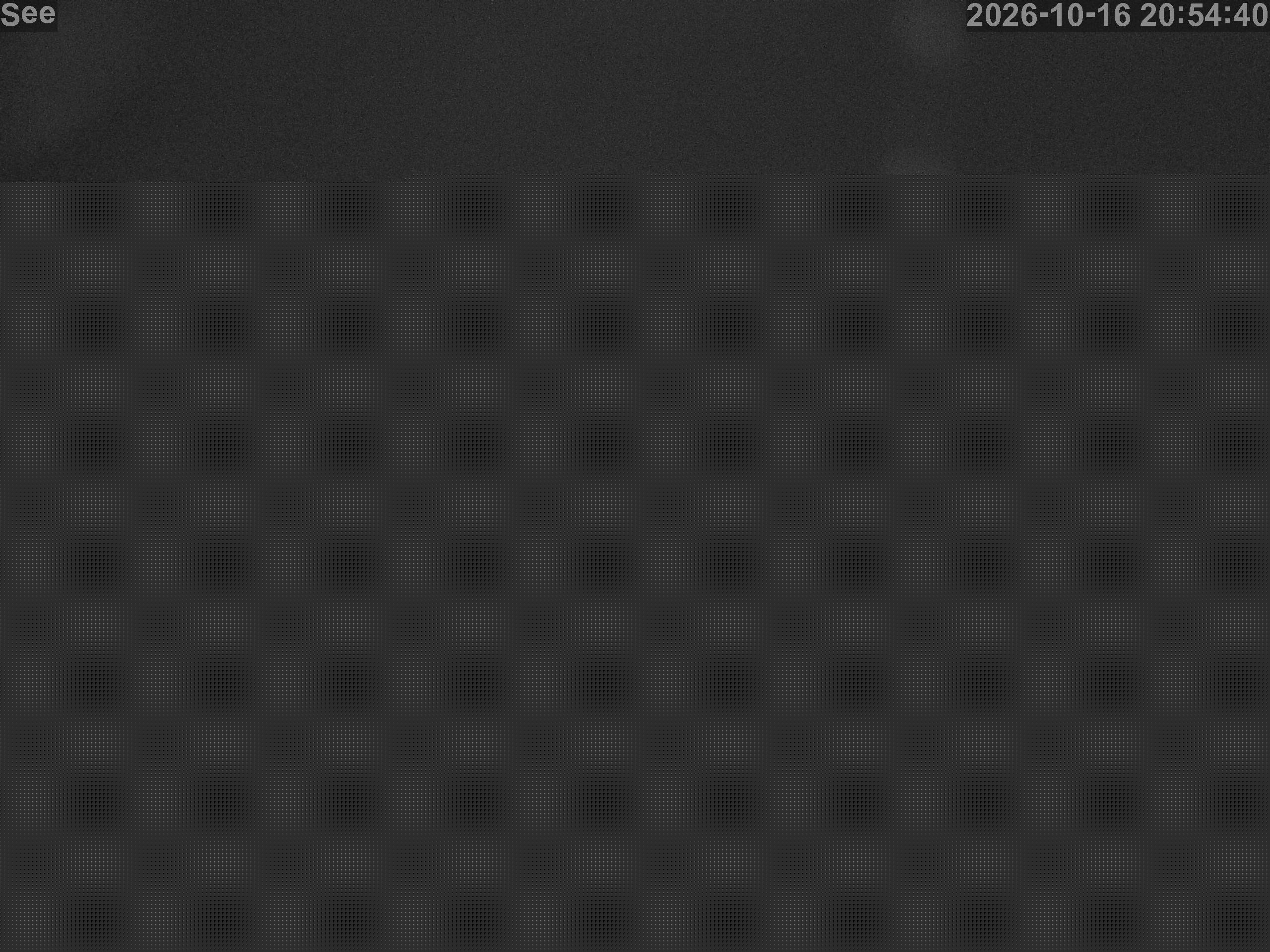 E-See LiveCam