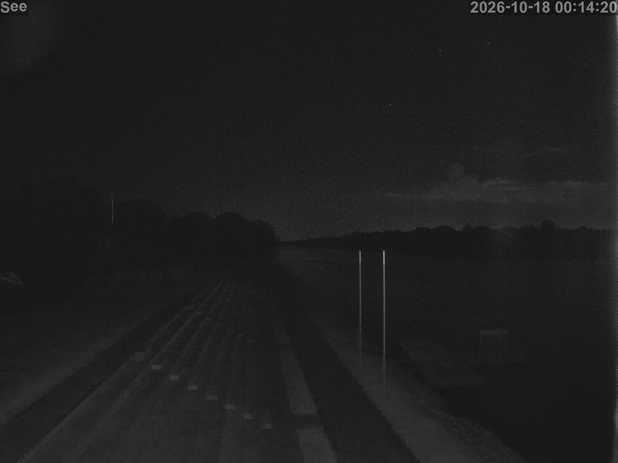 E-See LiveCam
