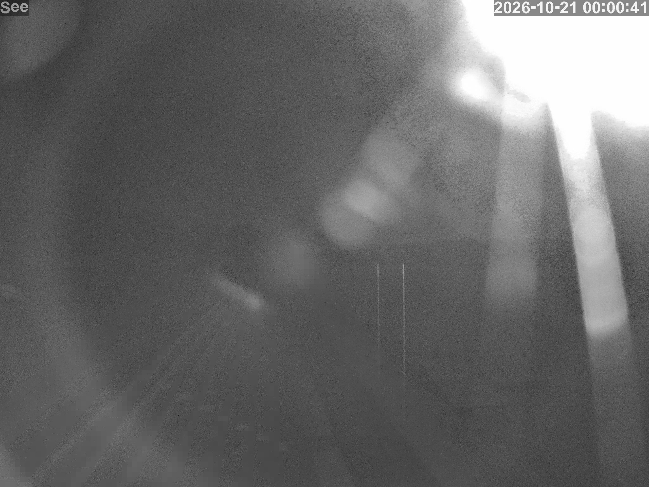 E-See LiveCam