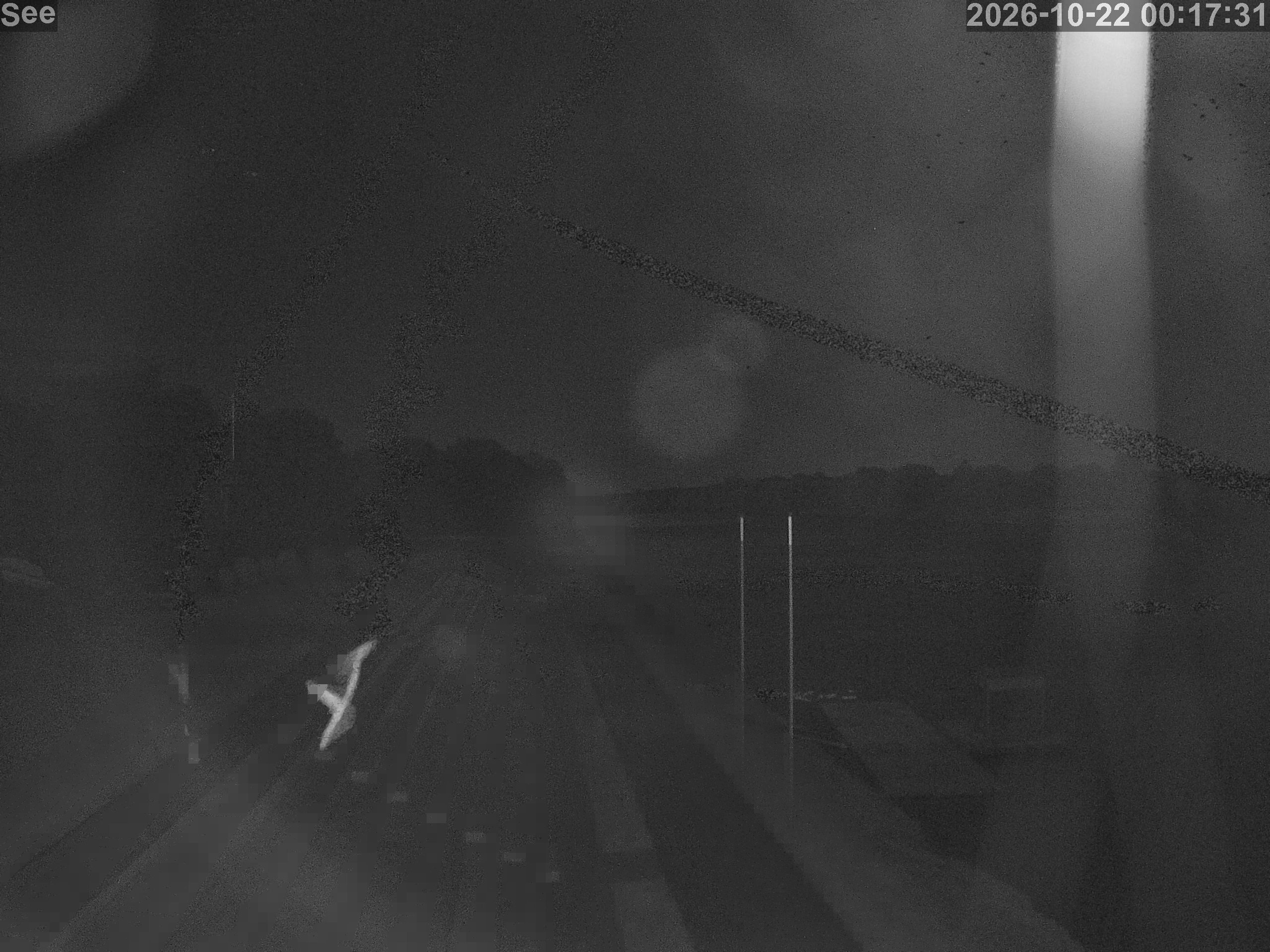 E-See LiveCam