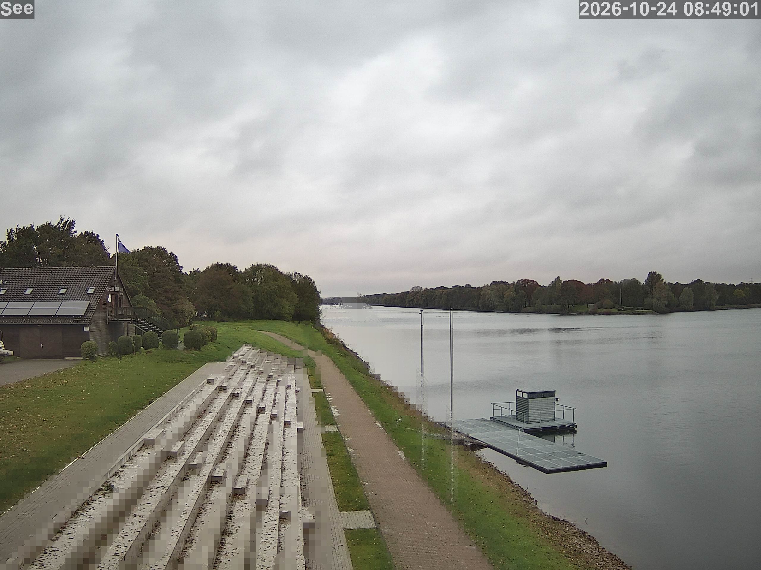 E-See LiveCam
