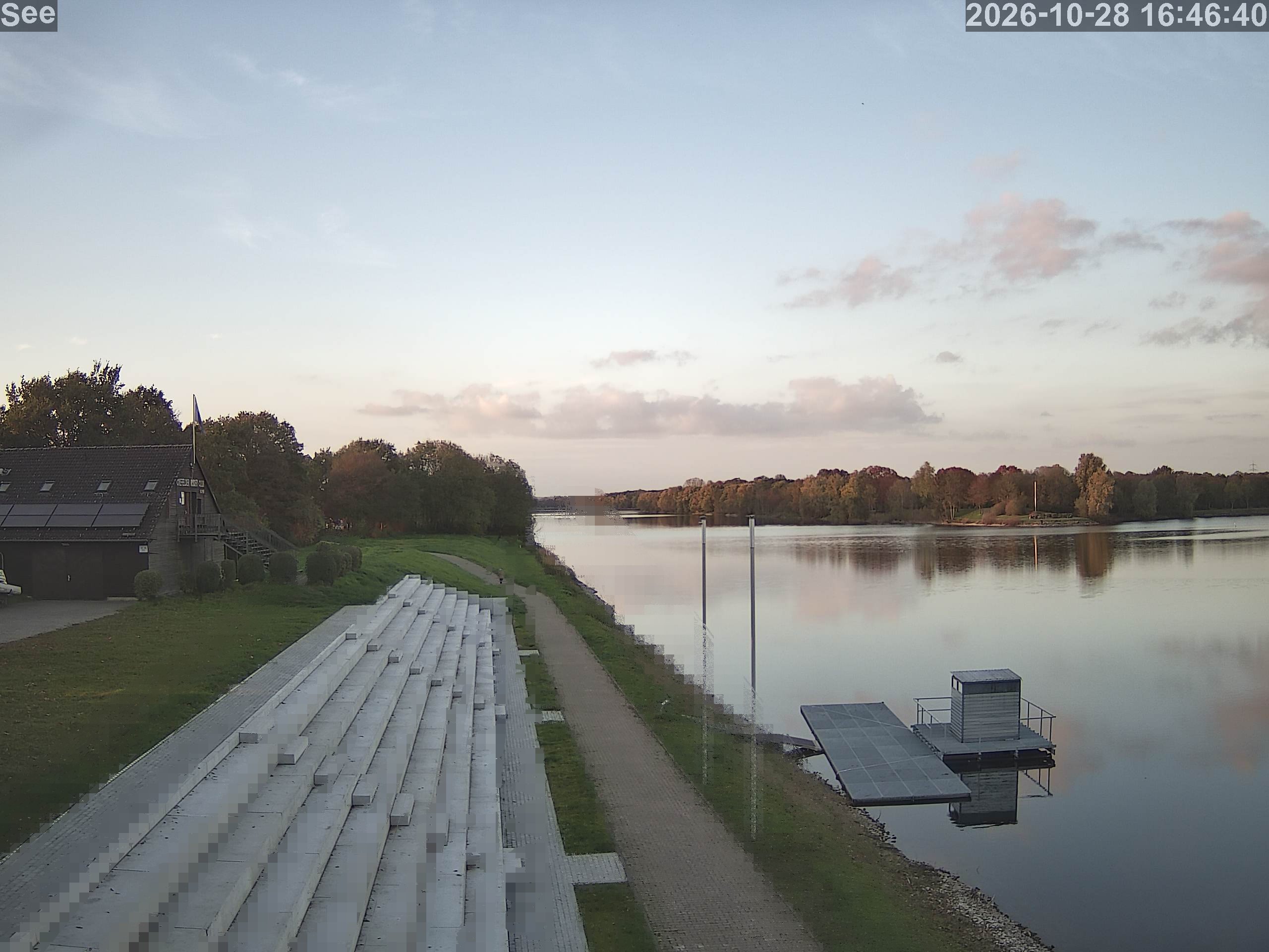 E-See LiveCam