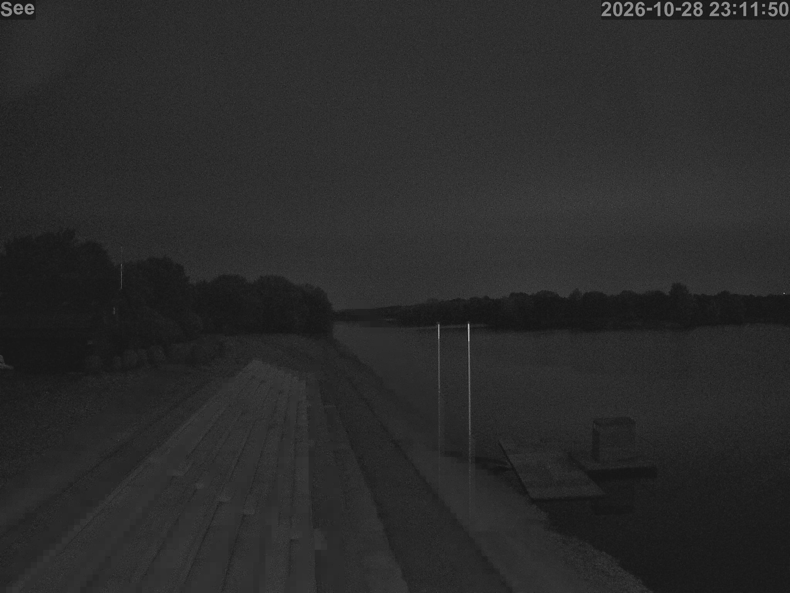E-See LiveCam