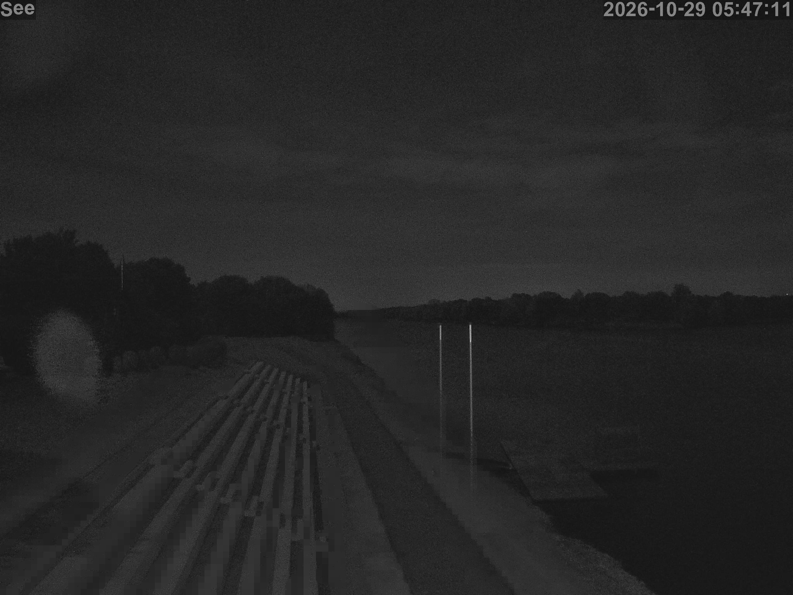 E-See LiveCam