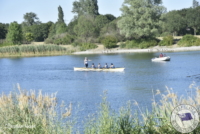  DSC5455